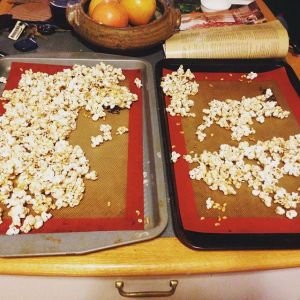 12357812_1674805406130345_1453716661_n