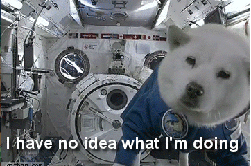 i-have-no-idea-what-im-doing-space-dog-gif